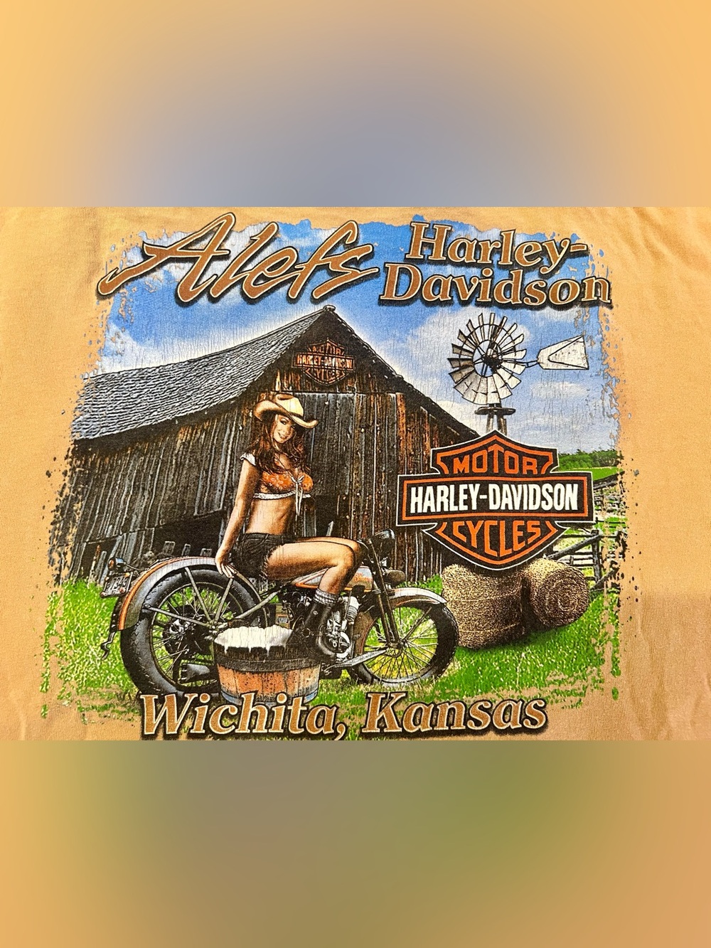 Harley-Davidson Men’s XL Gold Graphic Tee with Blue, Green & Brown Accents